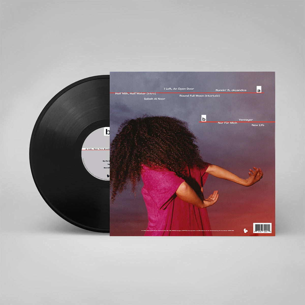 douniah - A Lot, Not Too Much (LP)
